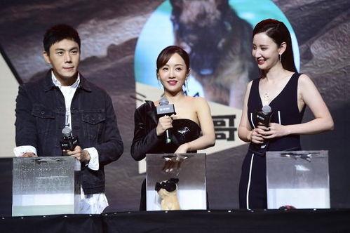 我在娱乐圈靠吃瓜爆红